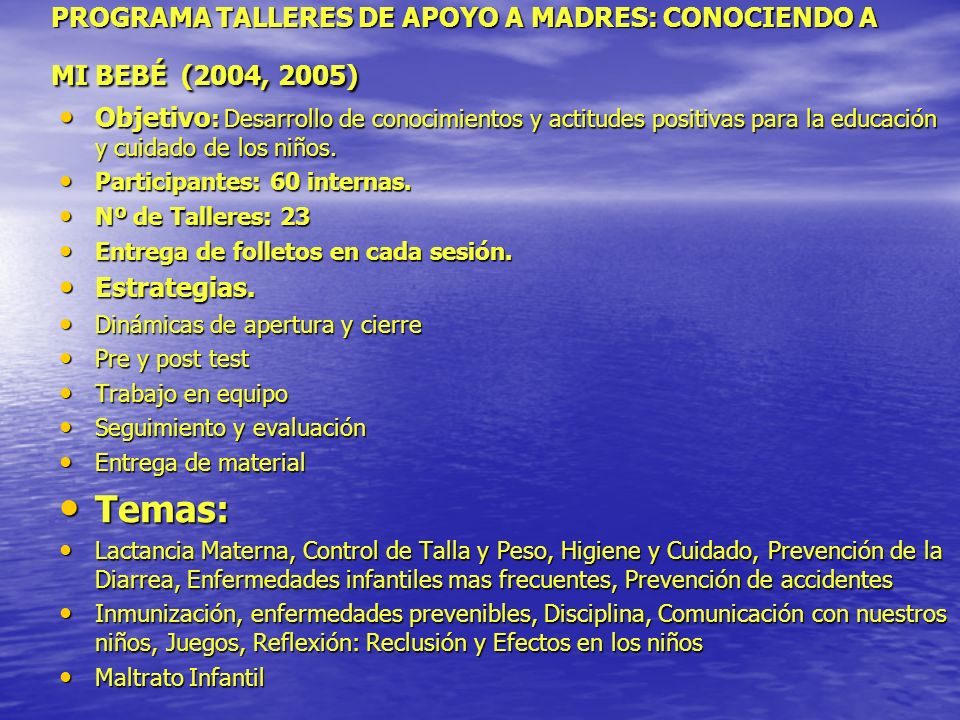PROGRAMA TALLERES DE APOYO A MADRES: CONOCIENDO A MI BEBÉ (2004, 2005)