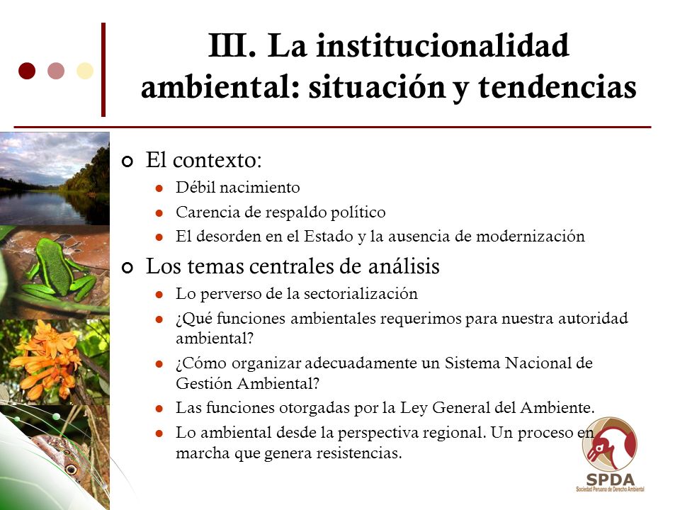 III. La institucionalidad ambiental: situación y tendencias