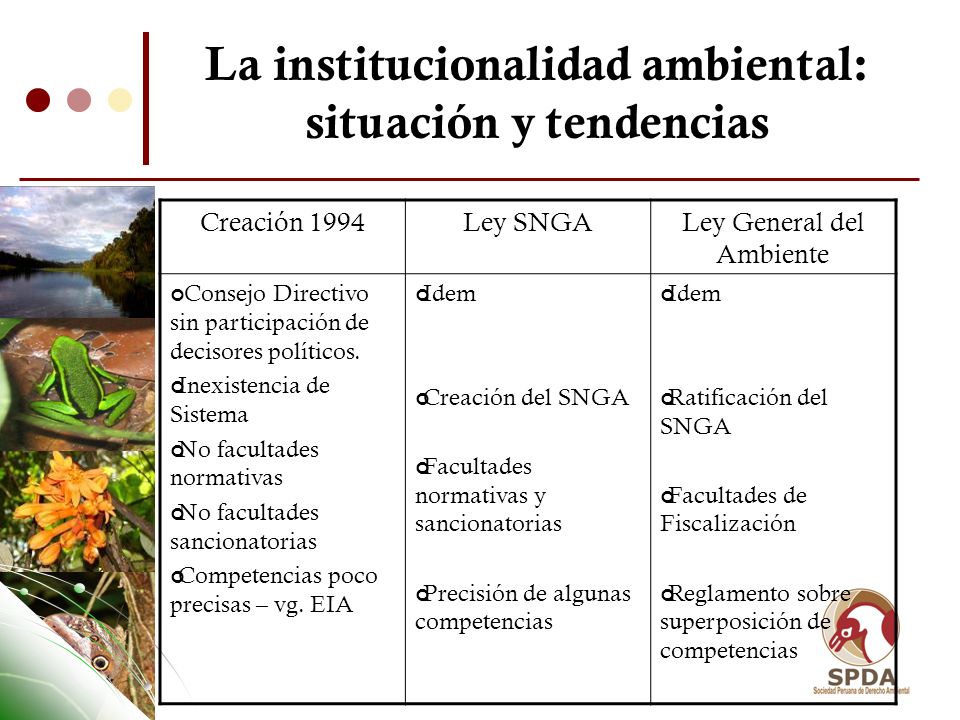 La institucionalidad ambiental: situación y tendencias
