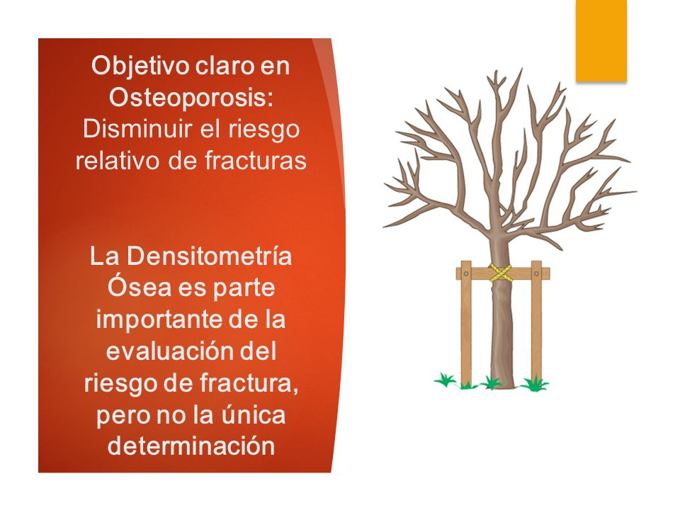 Objetivo claro en Osteoporosis: Disminuir el riesgo relativo de fracturas La Densitometría Ósea es parte importante de la evaluación del riesgo de fractura, pero no la única determinación