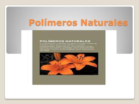 Polímeros Naturales.