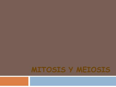Mitosis y Meiosis.