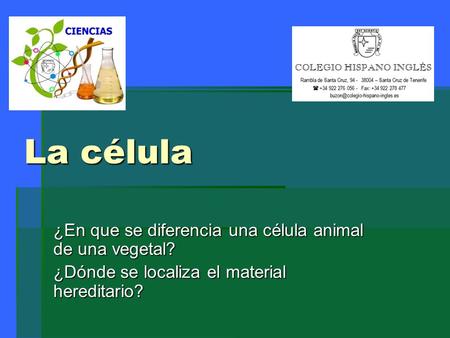 La célula ¿En que se diferencia una célula animal de una vegetal?