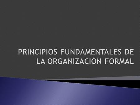 PRINCIPIOS FUNDAMENTALES DE LA ORGANIZACIÓN FORMAL