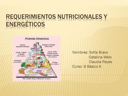 Requerimientos nutricionales y energéticos