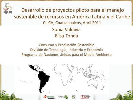 Desarrollo de proyectos piloto para el manejo sostenible de recursos en América Latina y el Caribe CILCA, Coatzacoalcos, Abril 2011 Sonia Valdivia.
