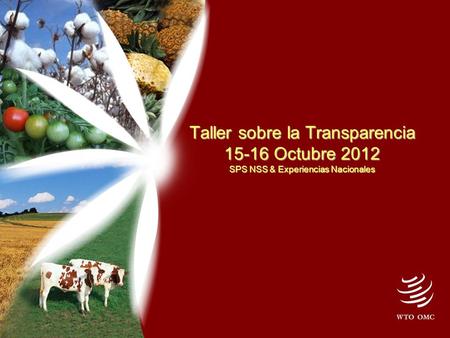 Taller sobre la Transparencia 15-16 Octubre 2012 SPS NSS & Experiencias Nacionales.