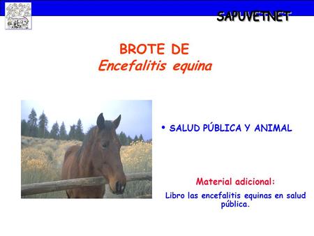 SAPUVETNET BROTE DE Encefalitis equina SALUD PÚBLICA Y ANIMAL