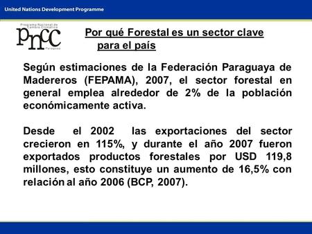 0 DIÁLOGO INTERMINISTERIAL SOBRE EL CAMBIO CLIMÁTICO Asunción, Paraguay 15 de abril de 2009 Informe Nacional: Paraguay Sector: Forestal Enfoque: Mitigación.