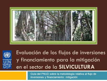 Evaluación de los flujos de inversiones y financiamiento para la mitigación en el sector de la SILVICULTURA Guía del PNUD sobre la metodología relativa.