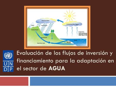 Evaluación de los flujos de inversión y financiamiento para la adaptación en el sector de AGUA.