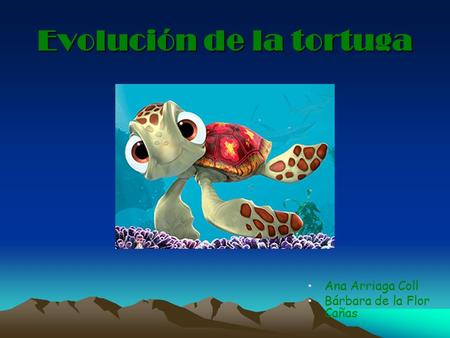 Evolución de la tortuga