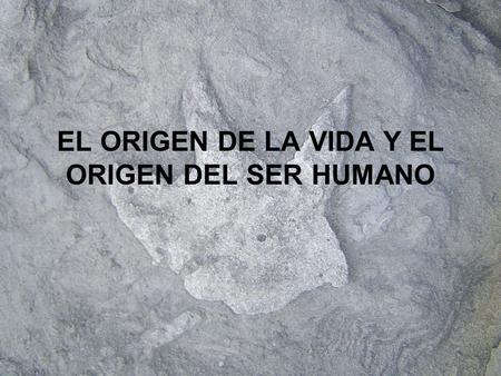EL ORIGEN DE LA VIDA Y EL ORIGEN DEL SER HUMANO