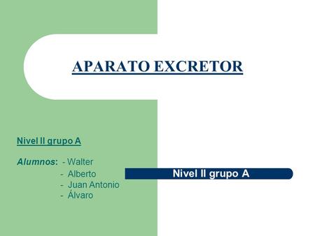 APARATO EXCRETOR Nivel II grupo A Alumnos: - Walter