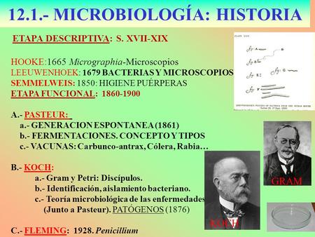 MICROBIOLOGÍA: HISTORIA
