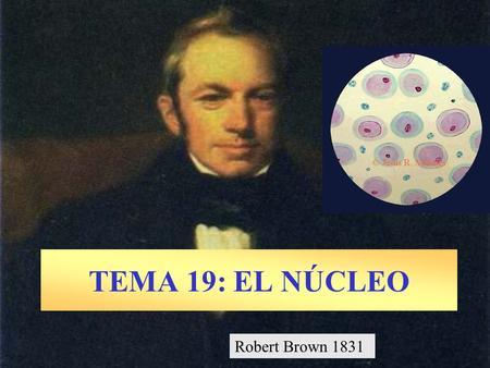 TEMA 19: EL NÚCLEO Robert Brown 1831.