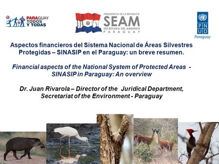 Aspectos financieros del Sistema Nacional de Áreas Silvestres Protegidas – SINASIP en el Paraguay: un breve resumen. Financial aspects of the National.