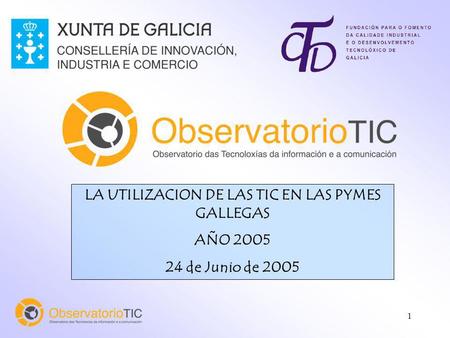 1 LA UTILIZACION DE LAS TIC EN LAS PYMES GALLEGAS AÑO 2005 24 de Junio de 2005.