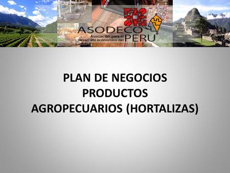PLAN DE NEGOCIOS PRODUCTOS AGROPECUARIOS (HORTALIZAS)