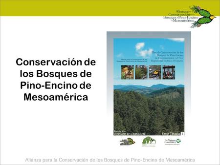 Conservación de los Bosques de Pino-Encino de Mesoamérica