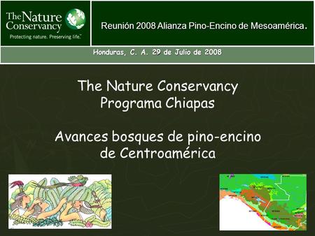 The Nature Conservancy Programa Chiapas Avances bosques de pino-encino