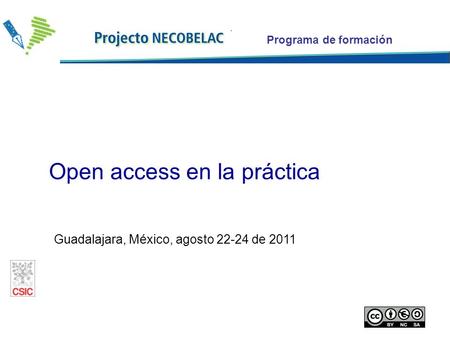 Programa de formación Guadalajara, México, agosto 22-24 de 2011 Open access en la práctica.