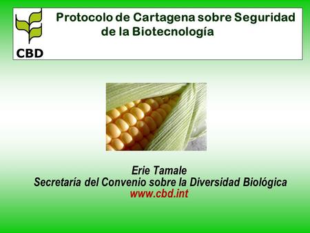 Protocolo de Cartagena sobre Seguridad de la Biotecnología