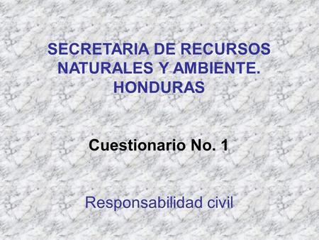 SECRETARIA DE RECURSOS NATURALES Y AMBIENTE. HONDURAS Cuestionario No. 1 Responsabilidad civil.