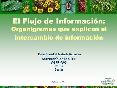 Taller de capacitación para el intercambio de información en los países de Latinoamérica (Español) 12 - 16 noviembre 2007 El Flujo de Información: Organigramas.