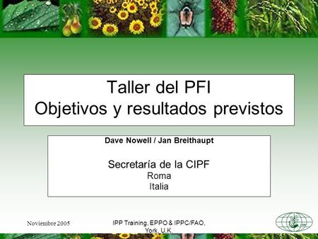 Noviembre 20051 IPP Training, EPPO & IPPC/FAO, York, U.K. Taller del PFI Objetivos y resultados previstos Dave Nowell / Jan Breithaupt Secretaría de la.