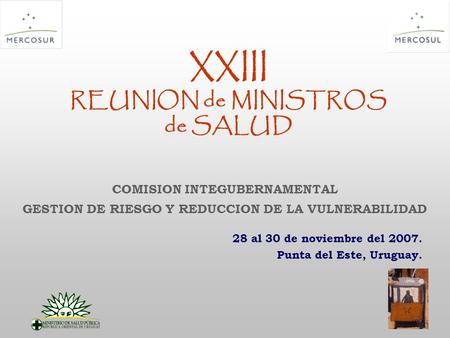 XXIII REUNION de MINISTROS de SALUD 28 al 30 de noviembre del 2007. Punta del Este, Uruguay. COMISION INTEGUBERNAMENTAL GESTION DE RIESGO Y REDUCCION DE.
