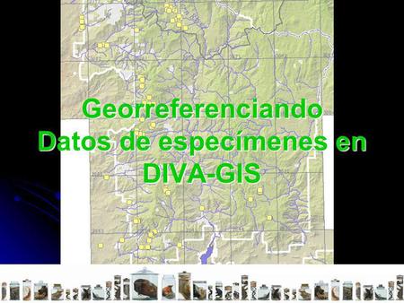 Georreferenciando Datos de especímenes en DIVA-GIS