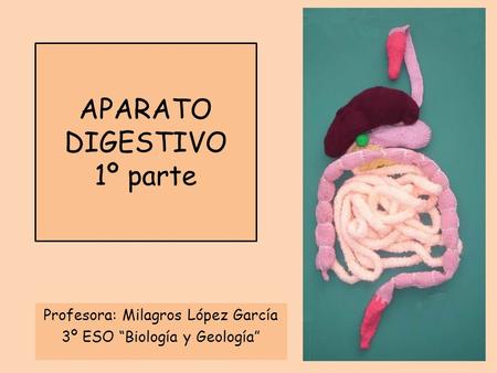 NUTRICIÓN ANIMAL parte 1. Generalidades Aparato digestivo - ppt descargar