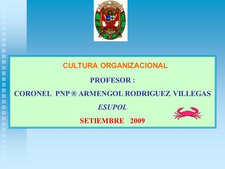 CULTURA ORGANIZACIONAL CORONEL PNP ® ARMENGOL RODRIGUEZ VILLEGAS