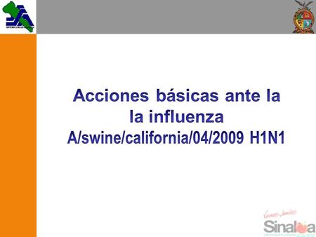 Acciones básicas ante la la influenza A/swine/california/04/2009 H1N1