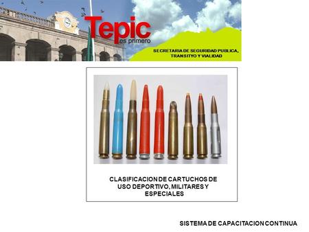 CLASIFICACION DE CARTUCHOS DE USO DEPORTIVO, MILITARES Y ESPECIALES