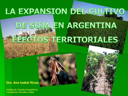 LA EXPANSION DEL CULTIVO EFECTOS TERRITORIALES