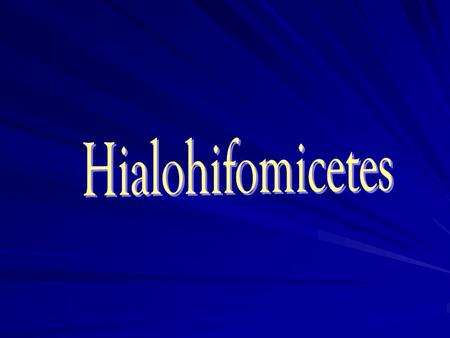 Hialohifomicetes.