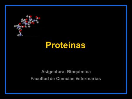 Proteínas Facultad de Ciencias Veterinarias Asignatura: Bioquímica.