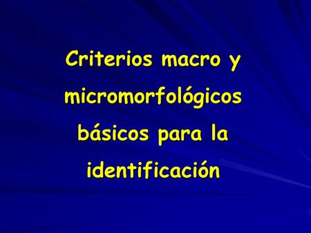 Criterios macro y micromorfológicos básicos para la identificación