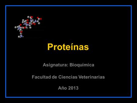 Proteínas Facultad de Ciencias Veterinarias Año 2013 Asignatura: Bioquímica.