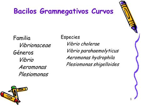Bacilos Gramnegativos Curvos