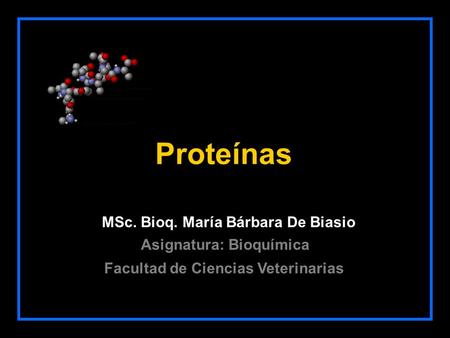 Proteínas MSc. Bioq. María Bárbara De Biasio Facultad de Ciencias Veterinarias Asignatura: Bioquímica.