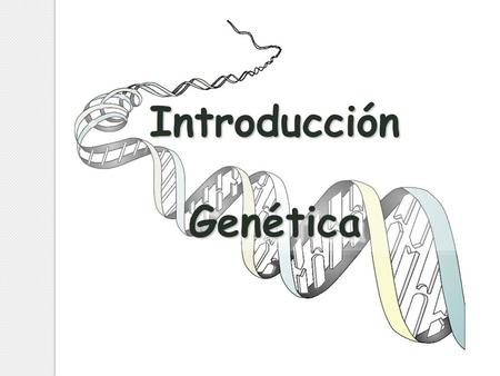 Introducción Genética.