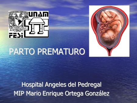 Hospital Angeles del Pedregal MIP Mario Enrique Ortega González