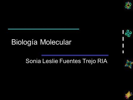 Sonia Leslie Fuentes Trejo RIA
