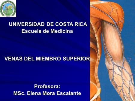 VENAS DEL MIEMBRO SUPERIOR MSc. Elena Mora Escalante