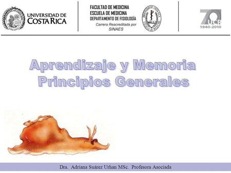 Dra. Adriana Suárez Urhan MSc. Profesora Asociada
