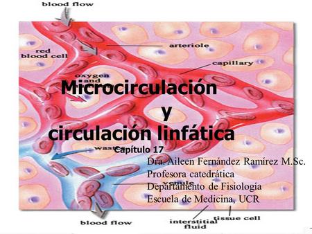 Microcirculación y circulación linfática