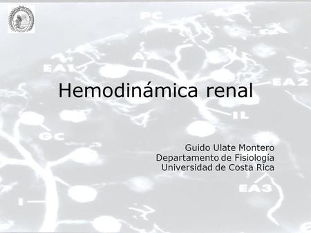 Hemodinámica renal Guido Ulate Montero Departamento de Fisiología